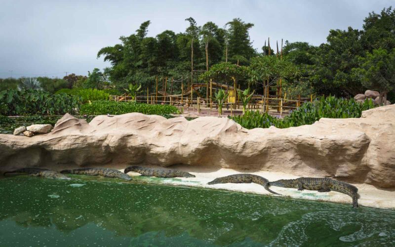 Crocoparc Agadir – Image 2