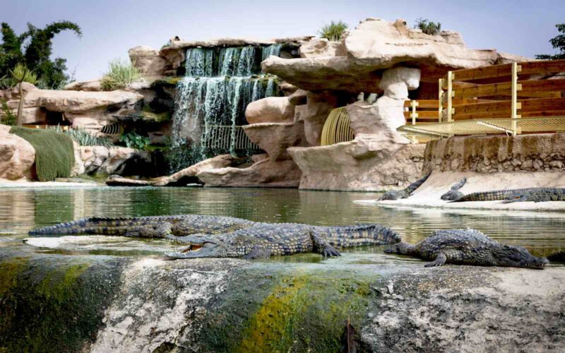 Crocoparc Agadir – Image 6