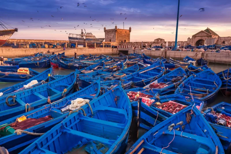 Essaouira – Image 3