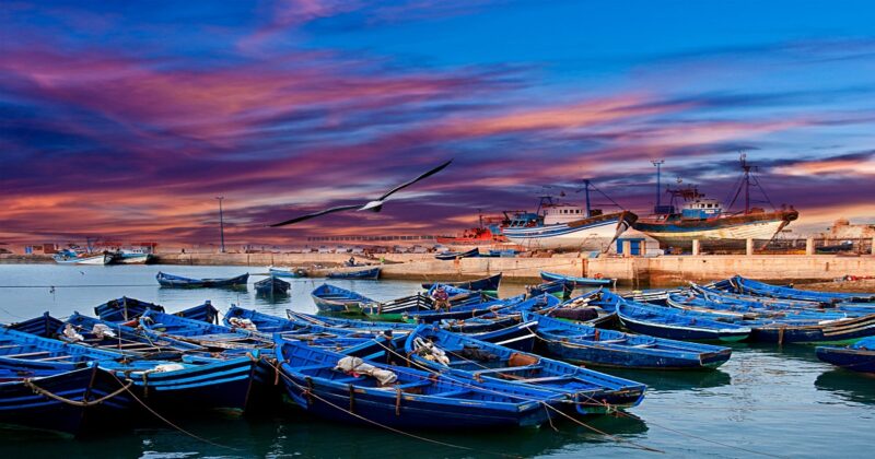 Essaouira – Image 4