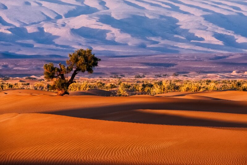 Voyage dans le désert marocain (Erg Chegaga) – 5 jours – Image 4