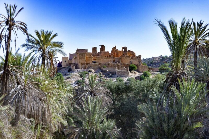 Excursion Taroudant et Tiout au départ d’Agadir – Image 8